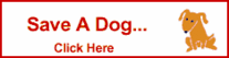 save a dog - shop i-give.com